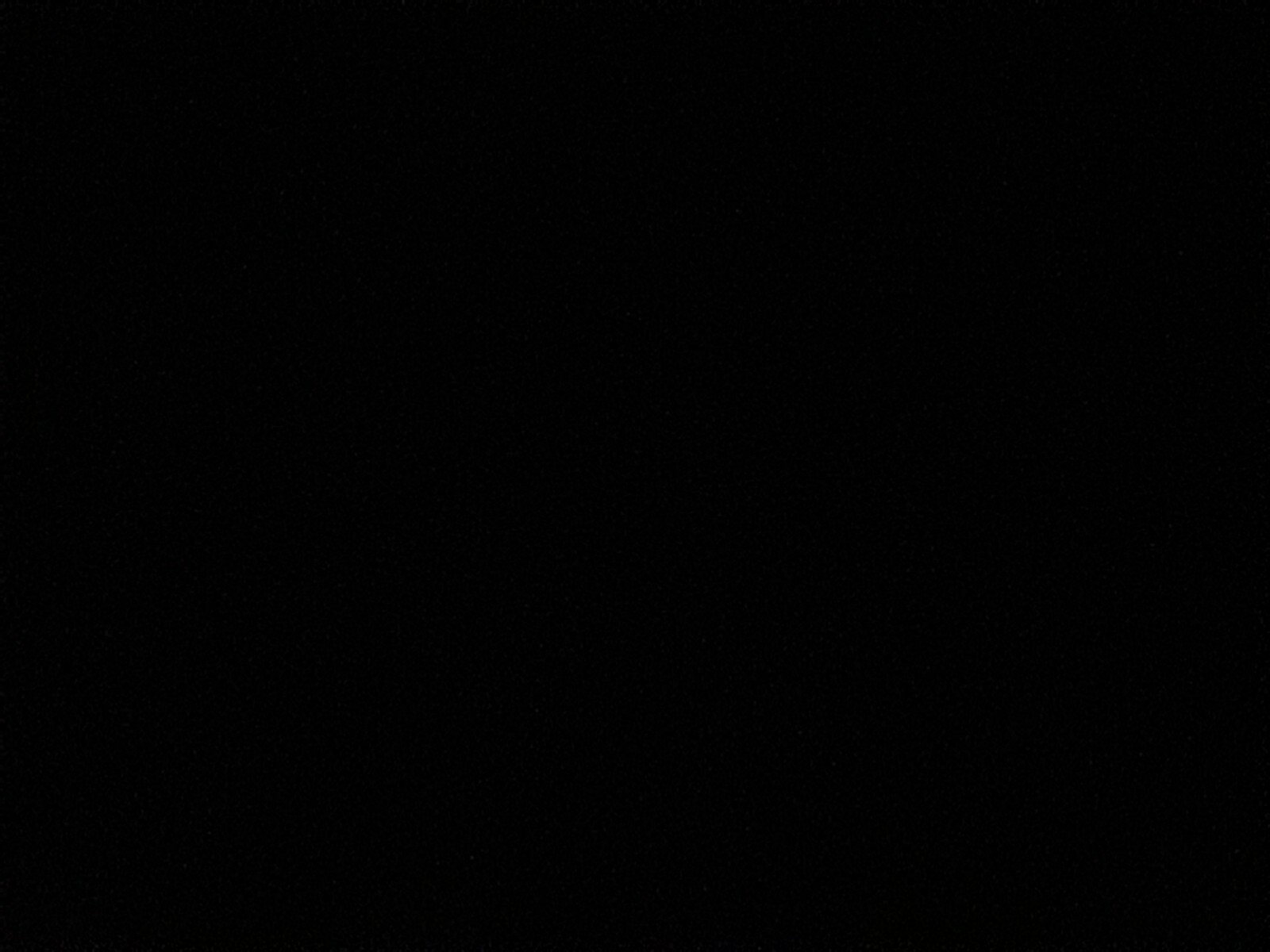 Foto 8 di 12