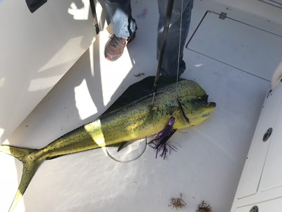 OEM 12 pollici 100g testa di piombo Offset Wahoo tonno Dorado Marlin esche da pe