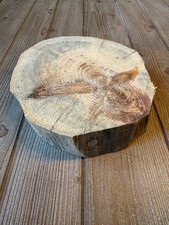 Pine Wood Slice approximately 10 inches by 9 inches by 2 inches