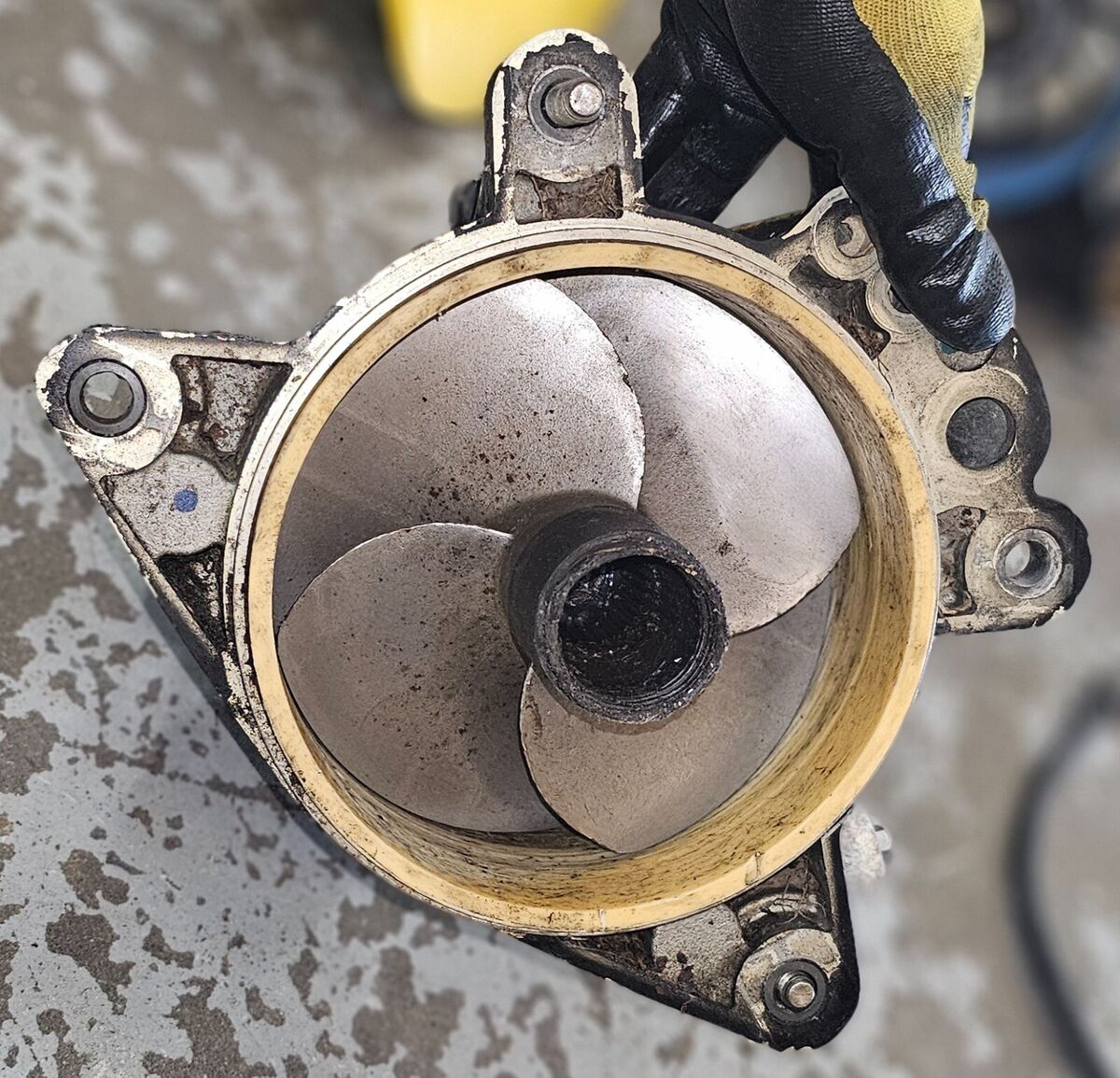 Sea Doo 04 05 RXP RXT GTX 215 HP jet pump drive impeller Sea Doo 04 05 RXP RXT GTX 215 HP jet pump drive impeller