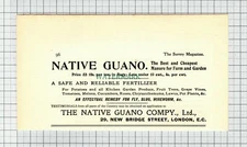 C7591) The Native Guano Company London Advert  - 1901 Cutting