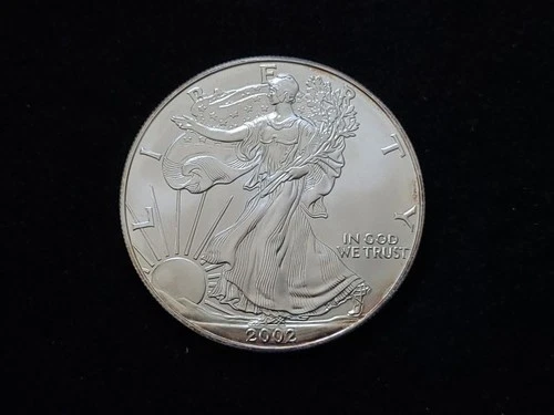 2002 $1 American Silver Eagle 1oz Fine Silver Coin NICE!