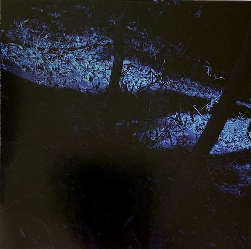 DEATHLIKE SILENCE CD + OBI JAPANESE METAL PUNK GISM GATES SABBAT DORAID ILLYA - Imagen 3 de 7
