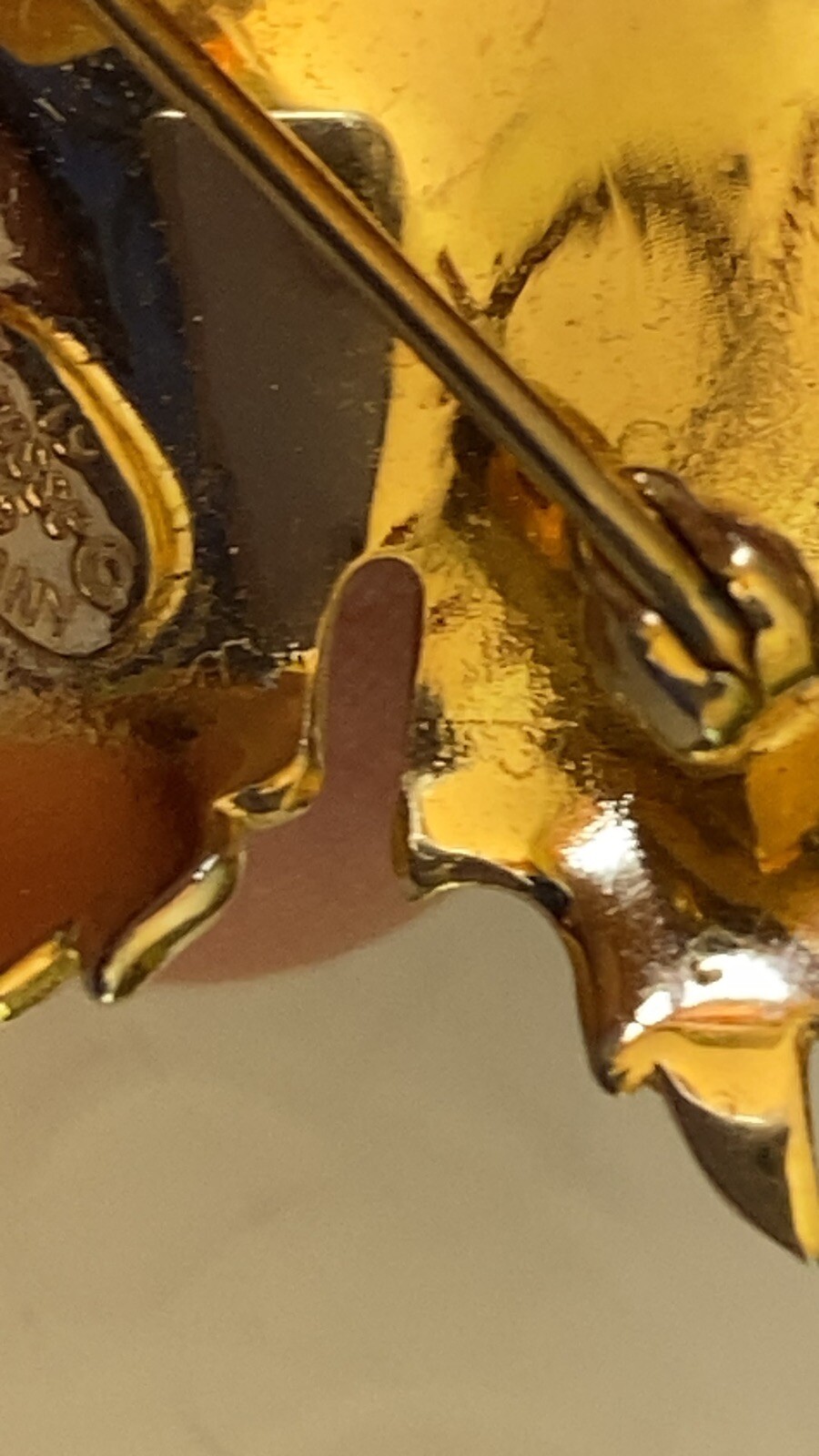 Picture 6 of 6