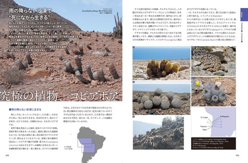 Cactus in habitat and cultivation Bizarre Plants Picture Book Japan 2022 - Picture 2 of 5