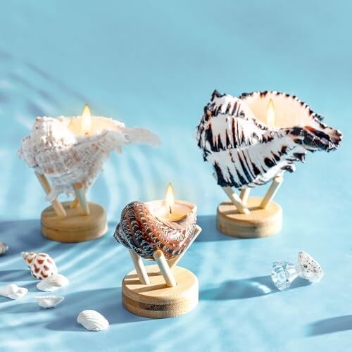 Generic TheSeaKnows Handmade Natural Scented Conch Shell Soy Wax Candles