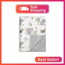 BORITAR Baby Blanket for Boys Girls Super Soft Double Layer Minky with Dotted Ba