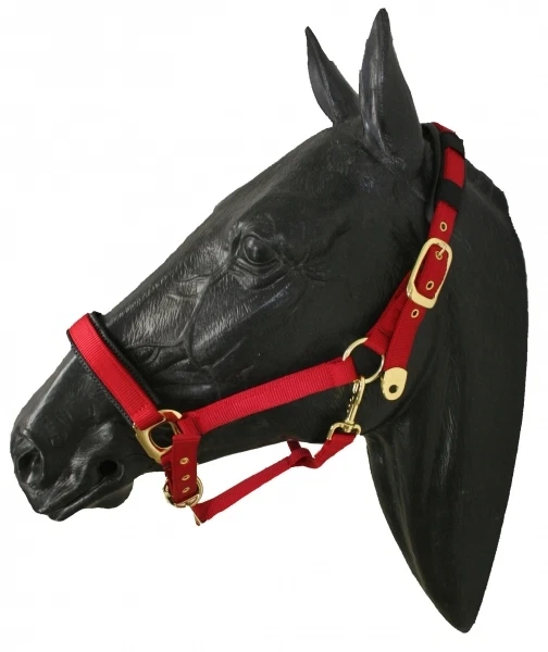 Cavalletto in nylon cavalletto da stalla pony rosso ARBO-INOX®