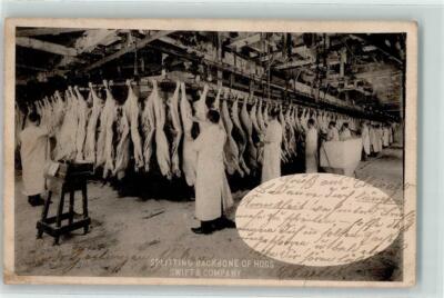 13197137 - Greeley Splitting Backbone of Hogs Swift & Company - Industrie
