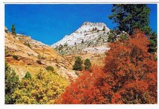 Utah Postcard Checkerboard Mesa Zion National Park