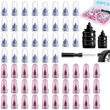60 PCS Premium Tire Repair Rubber Nails Kit, Portable Screw in Tire Plugs with