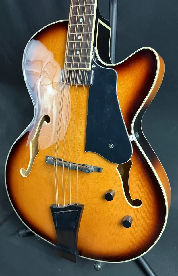 Gold Tone Mandocello 8-String Acoustic-Electric Vintage Sunburst w/ Case - Image 4 of 4