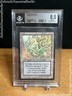 Magic the Gathering The Dark - Maze of Ith BGS 8.5