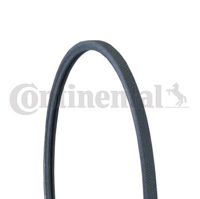 Conti Original 2PJ800 Keilrippenriemen Rippenband Rippenriemen 2 X 800-image