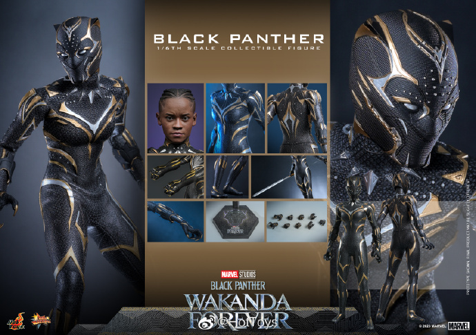 HotToys HT Wakanda Forever Black Panther 1/6th scale Collectible