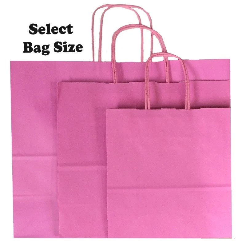 Light Pink Paper Gift Bags ~ Boutique Shop Bag ~ Pick Size Small Medium Large