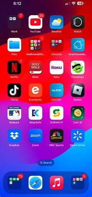 iPhone 15 Pro Max With Tiktok 