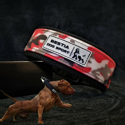 BESTIA DOG SPORT Halsband – NEON ROSA, 5 Cm Breit, Wasserdicht, Edelstahl-Schnalle, Für Mittlere Bis Große Hunde