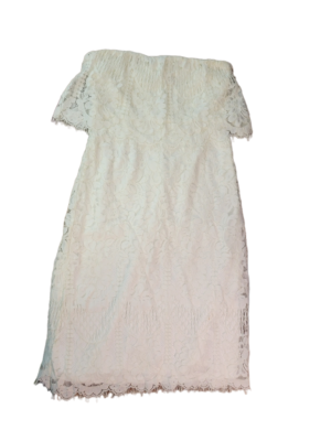 chinese dress ladies Eyelash Lace Long Sleeve Overlay dress – AX Paris main image 0