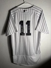 Anthony Volpe Signed New York Yankees Nike Authentic Jersey Fanatics MLB Auto 44