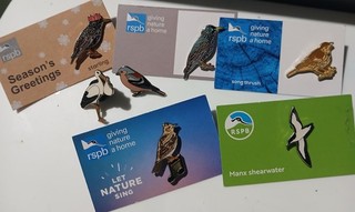 RSPB Enamel Badges Mixed Includes Vintage & Festive Starling Stork Baby