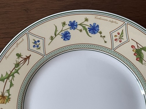 Villeroy & Boch Eden Garden Yellow Green 5-Pc Dinner Place Setting (Mult. Avail) - Picture 8 of 24