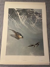 Robert Bateman Peregrine Falcon and White-Throated Swifts S/N Litho Signed MINT