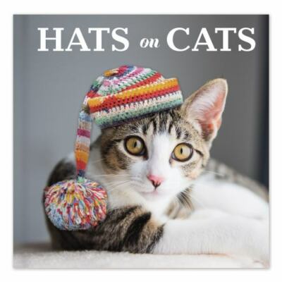 Hats on Cats - 9781645583721, New Seasons, hardcover, new