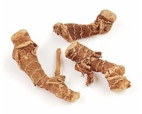 ALPINIA GALANGA Willd Greater or Java Galangal Siamese Ginger KULANJAN WHOLE - Picture 1 of 2