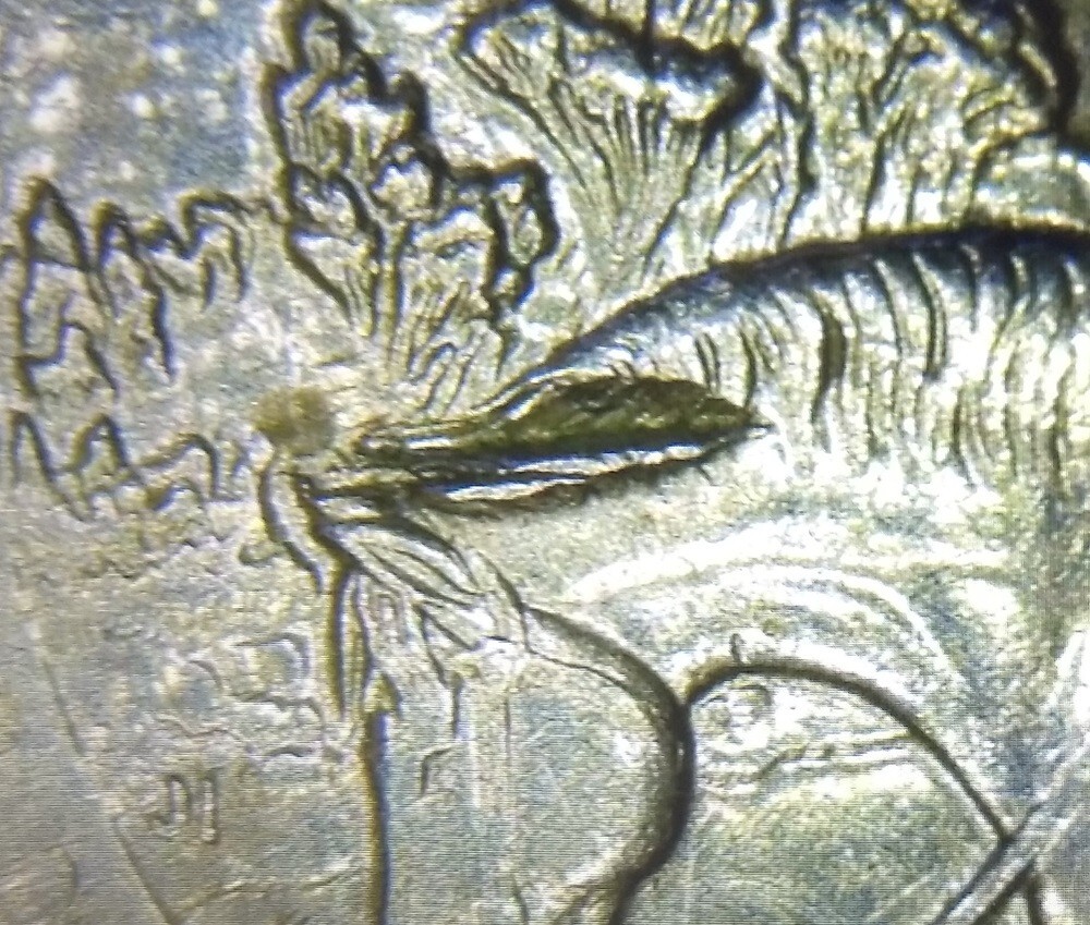 2016P Quarter Theodore Roosevelt Struck Through Horse + Grease