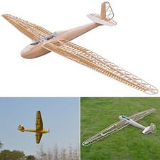 DFS Kranich Segler Modellflugzeug 3m Spannweite Flugzeug Modell Flieger Gleiter