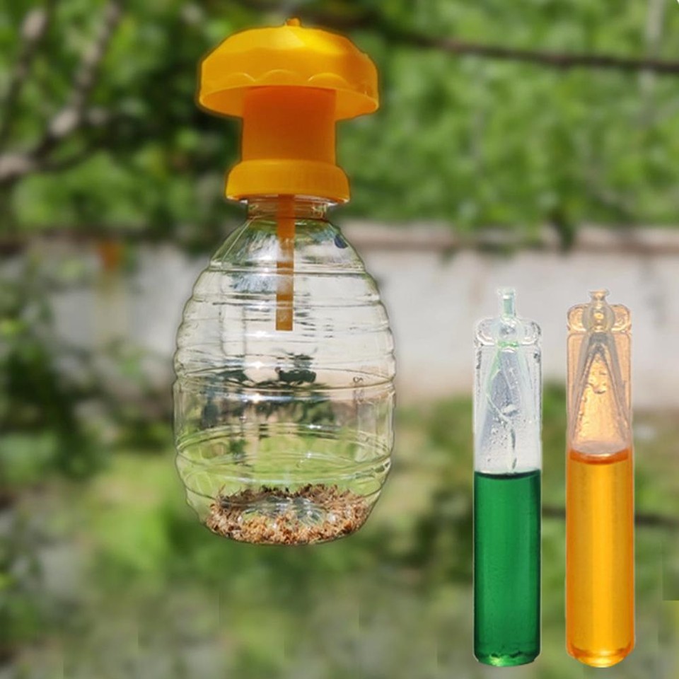 How To Get Rid Of Flies Apartment Nyc - blog.entomologist.net