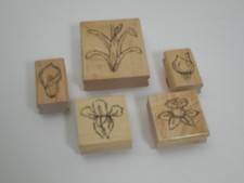 CTMH JRL Design "Bulbs in Bloom" Wood Mounted Rubber Stamps Flowers