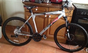 Cbr Assault Mountain Bike Ebay