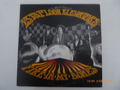 disque vinyle 33 tours : 13th Floor Elevators – Fire in My Bones - Photo 1/2