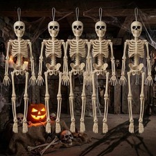 Hanging Small Skeletons for Halloween Decorations: 5PCS 16Inches