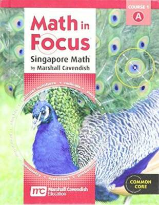 Math in Focus: Singapore Math Student Edition, Grade 6, Volume A - GOOD