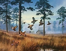 NEW Bob White Quail Print by David Maass - Hunting - Cabin - Lodge - Sportsman