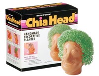 Chia Guy Collectable Chia Guy Collectable