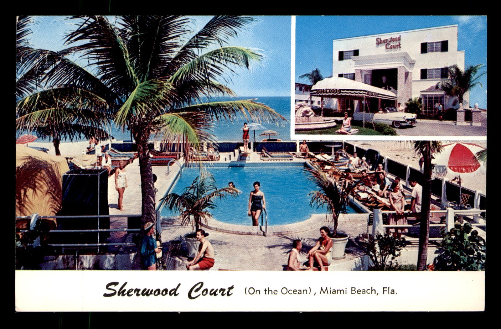 Sherwood Court On The Ocean Miami Beach Florida FL People Pool Unp Postcard