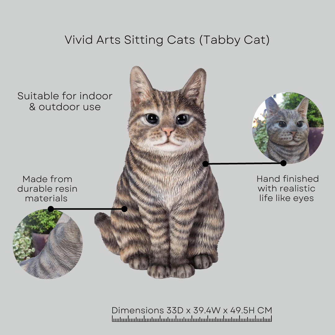 Ahura 虎猫 SITTING TABBY CAT Made In Italy Ahura 虎猫 SITTING TABBY CAT Made In Italy