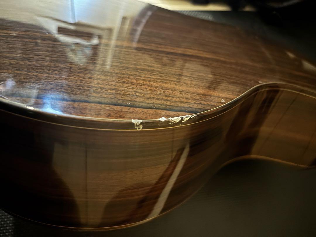 AVIAN Songbird/R/DCアコースティックギター Acoustic Guitar Avian Songbird R DC Michael Bashkin Solid