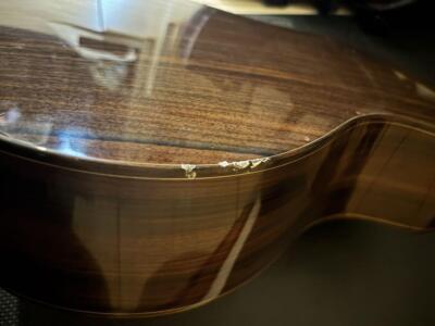 AVIAN Songbird/R/DCアコースティックギター Acoustic Guitar Avian Songbird R DC Michael Bashkin Solid