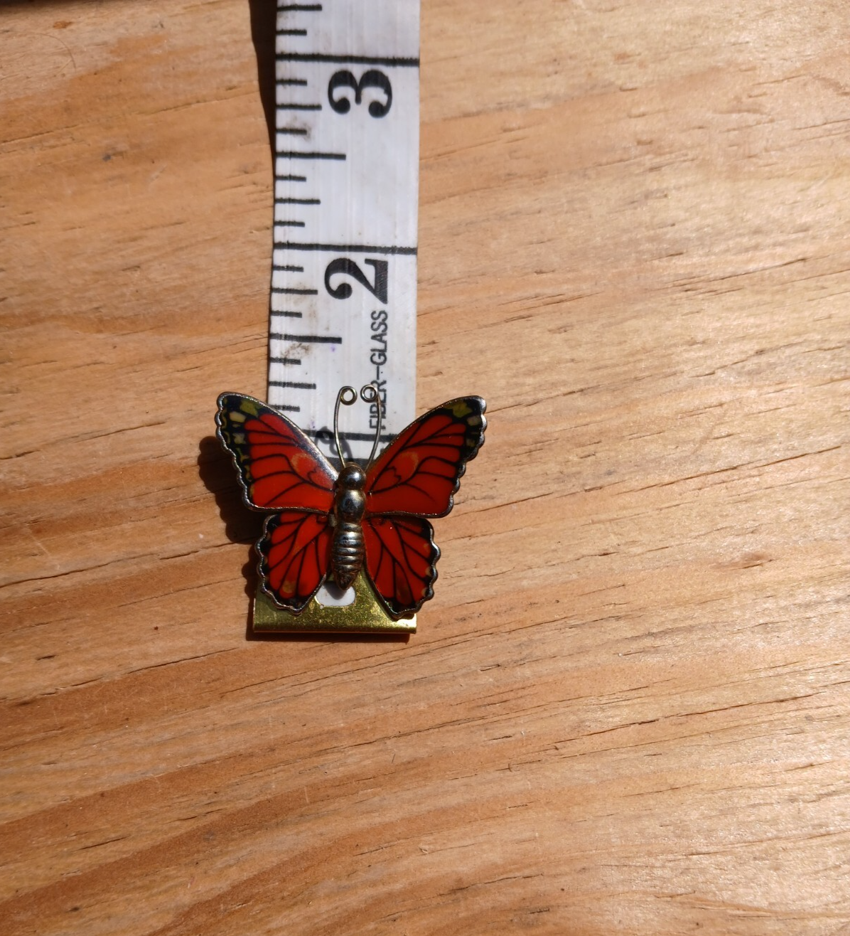 Picture 3 of 5