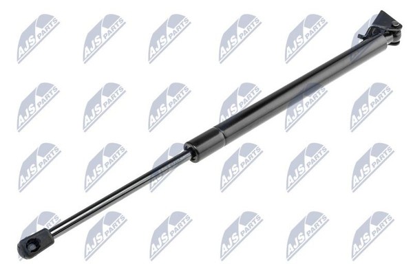 Nty AE-CH-021 Gasfeder, Koffer-/Laderaum Hinten Links FüR Jeep-image