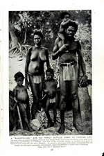 Old Vintage Print C1920 Blackfellow Family Farming Marra Creek Australia 20th