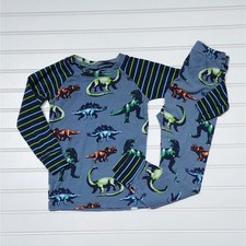 Hatley Boys Dinosaur Raglan Pajama Set