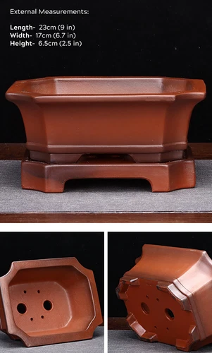 Large Rectangular Bonsai Pot W Tray High-grade Classic Chinese Purple Sand Pots - Picture 9 of 13