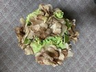 Bild 23 von 84