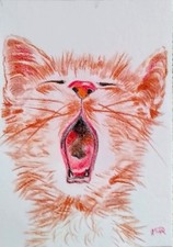 ACEO cat watercolor pencil by the author original 3,5